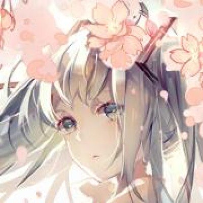 盛华